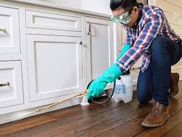 Best Pest Control for Multi-Family Homes  in Ardmore, AL